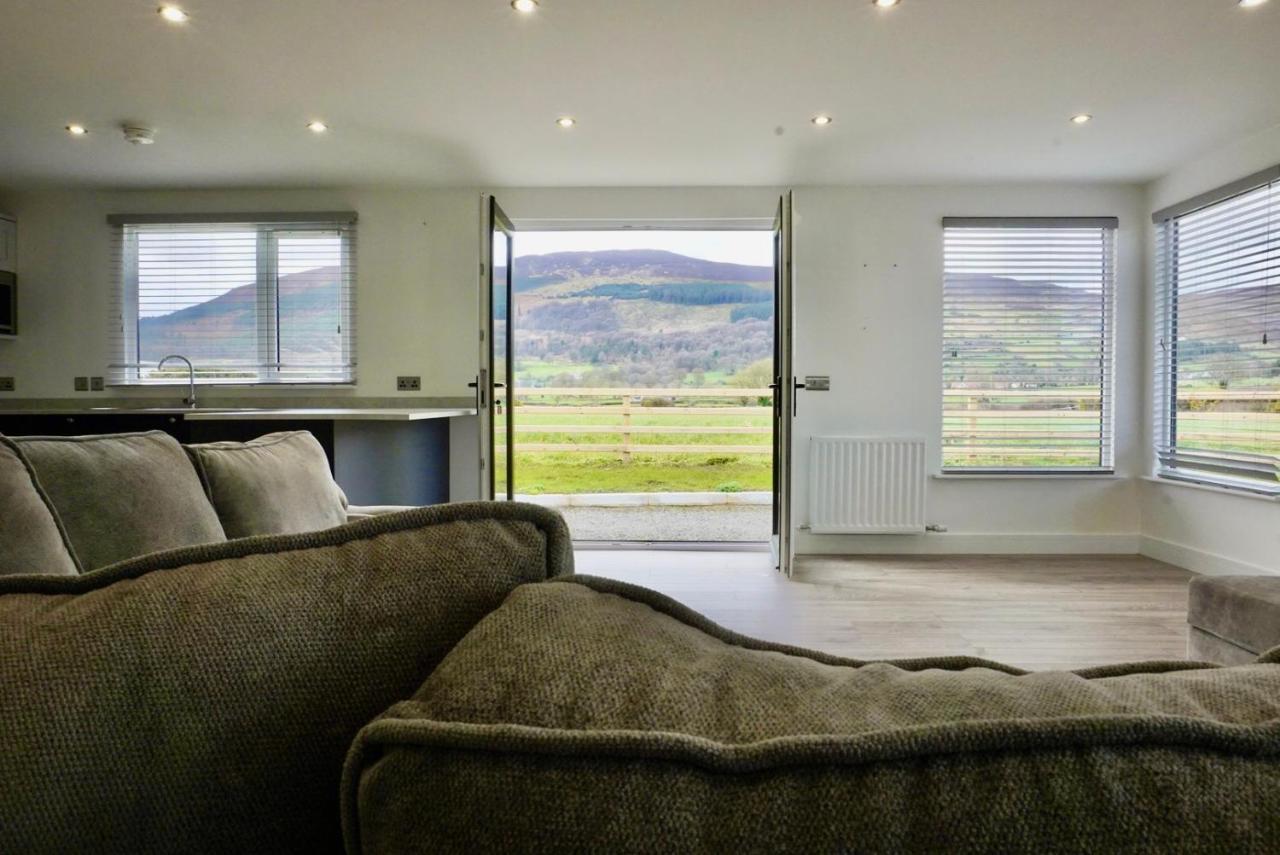 Castle View Chalet By Clonlum Cottages Ньюри Экстерьер фото